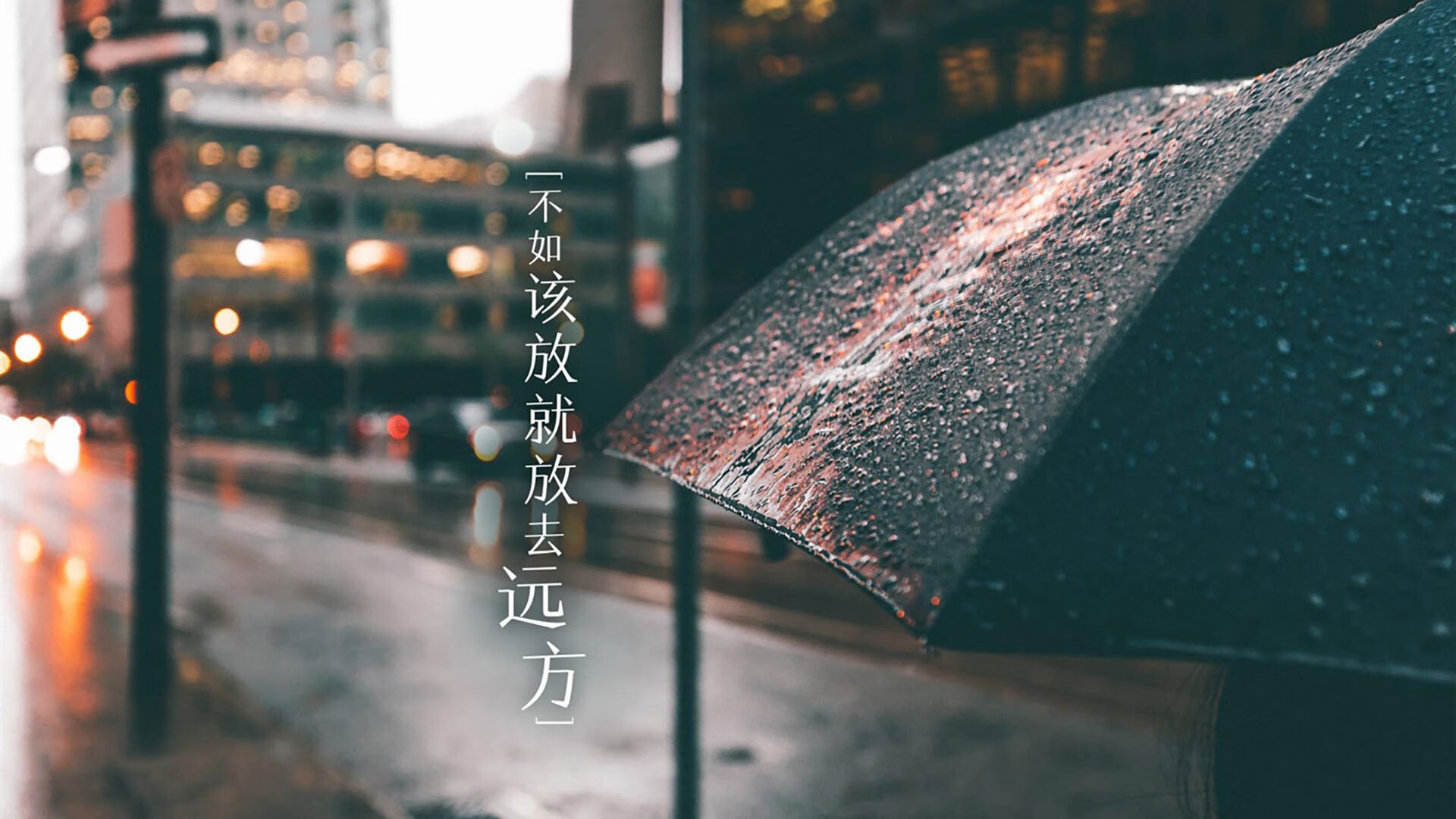 伊朗队战术曝光：在冰地用地毯拖球，伊朗的地毯优点