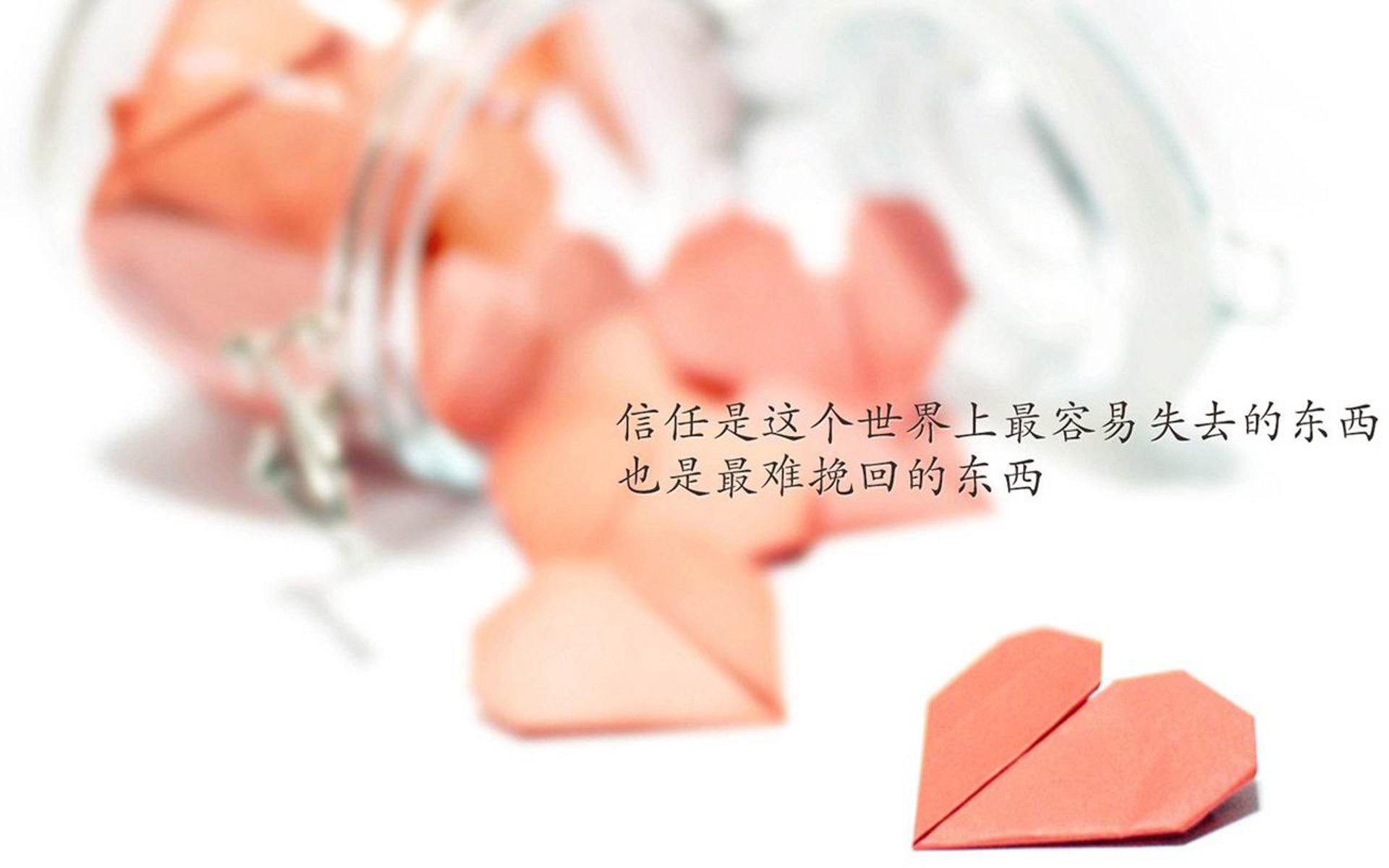 德国马术协会建立马术运动伤害预防中心，保障运动员安全。，德国马术协会官网