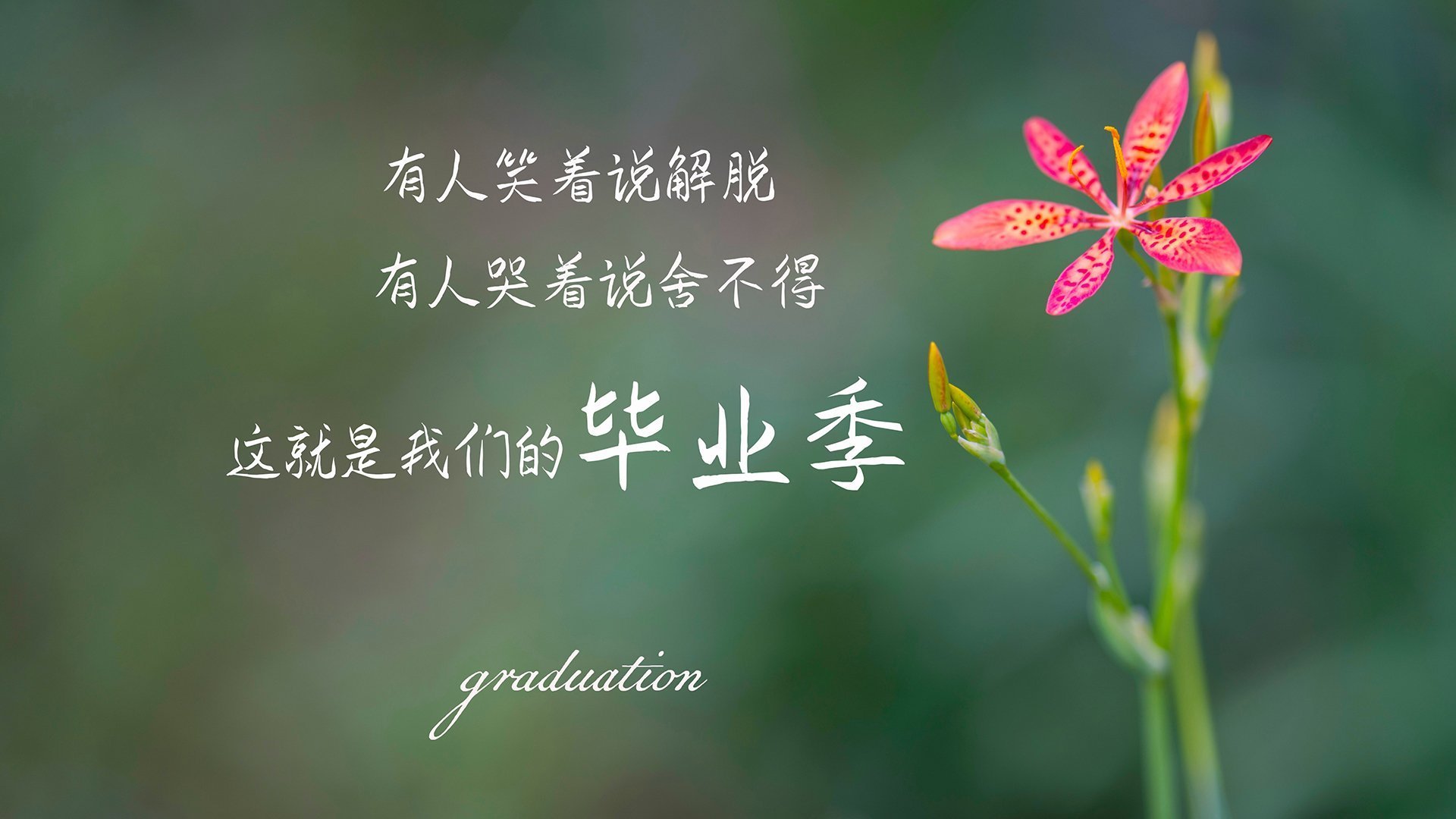 比利亚雷亚尔遭绝杀，客场不敌赫罗纳，比利亚雷亚尔别名