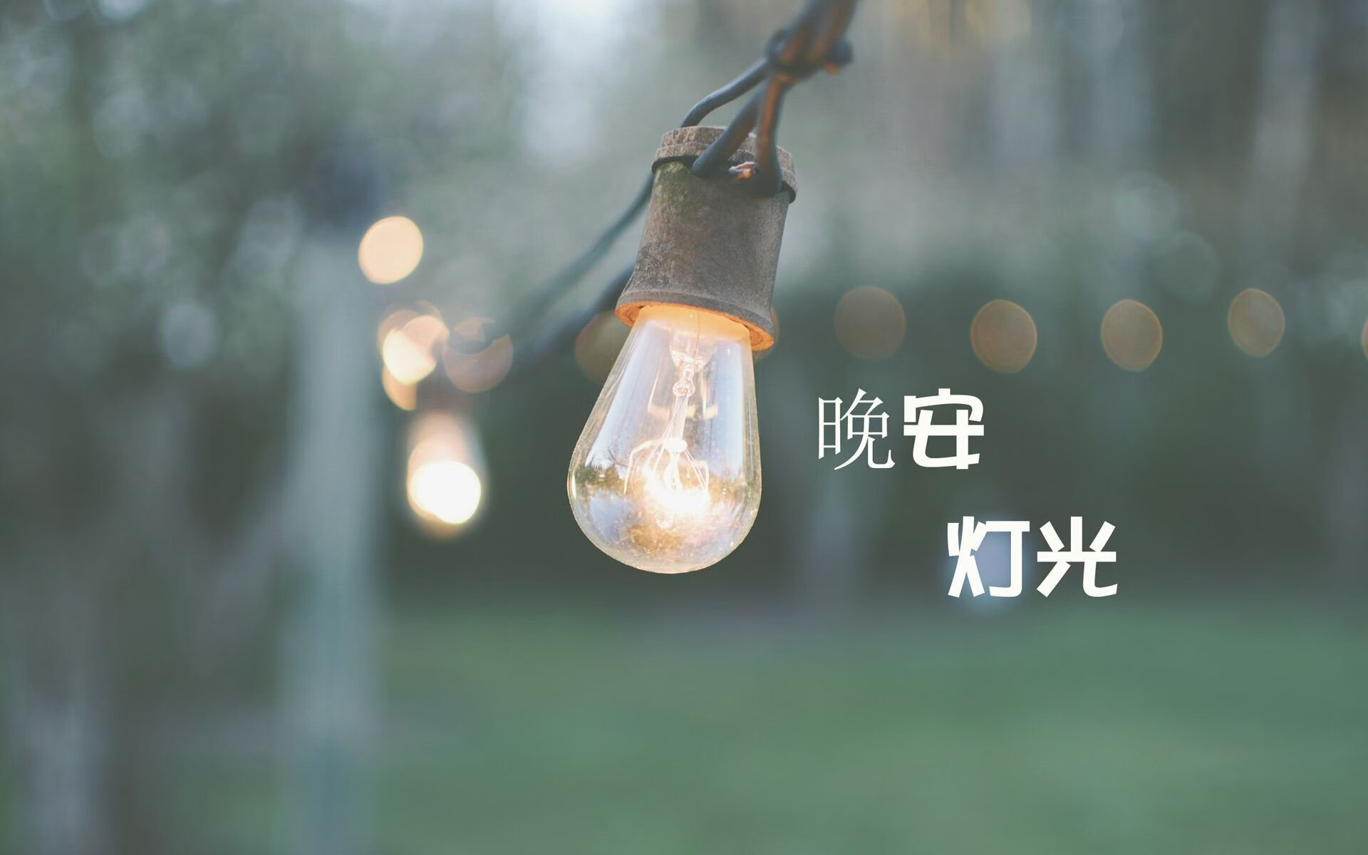 潘展乐在巴黎奥运会上打破自己保持的男子100米自由泳世界纪录并夺金